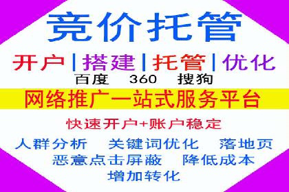 SEM关键词优化实战案例分析